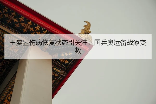 王曼昱伤病恢复状态引关注，国乒奥运备战添变数